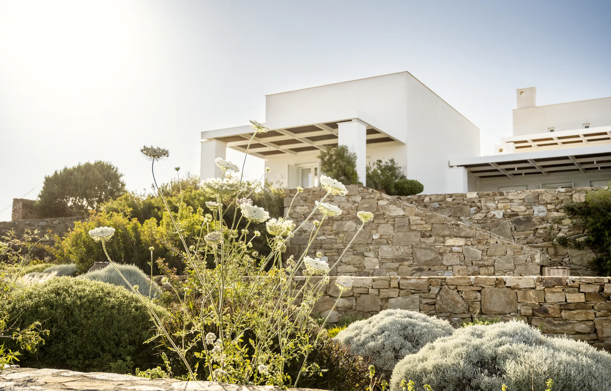 Rafter Koufonisia Panope