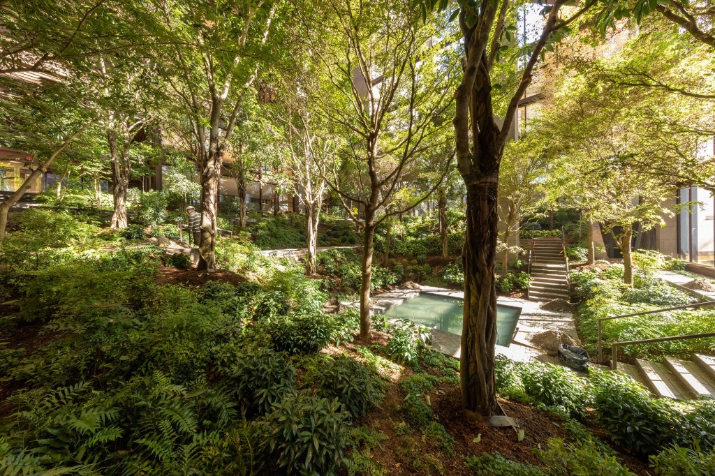 The garden inside the Ford Foundation Atrium: sunlit trees, ferns, and shrubs on terraced slopes around a small reflecting pool, with steps leading up between the plantings