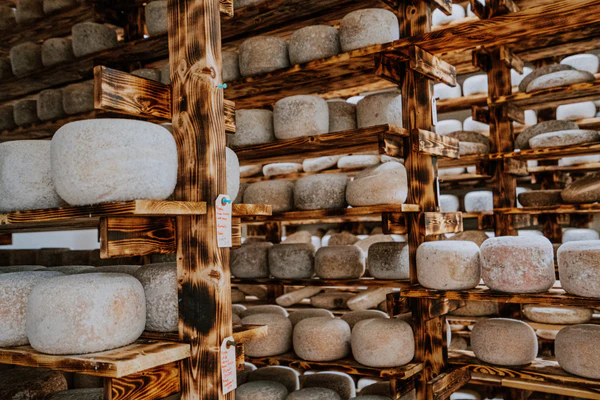 Cheese Cellar Visit