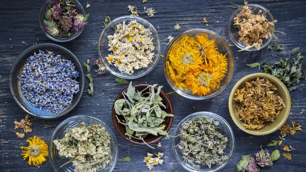 Various dried mountain herbs arranged in bowls on a dark wooden surface for tea preparation