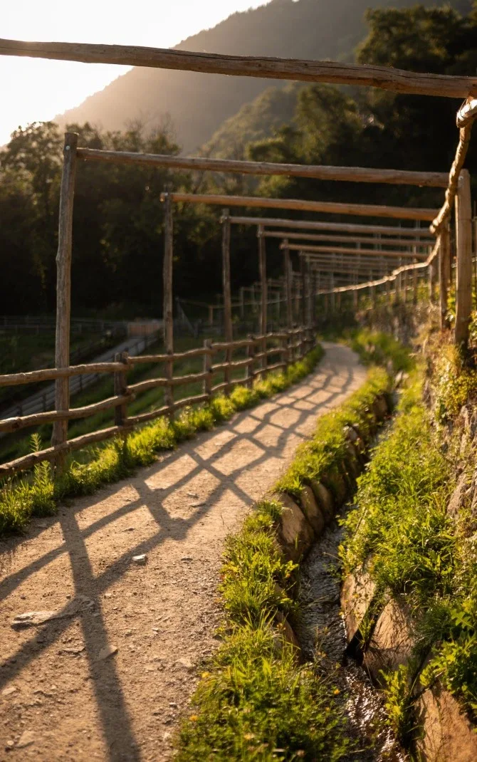 Winding dirt path with wooden railings and overhead beams beside grassy embankment and stream