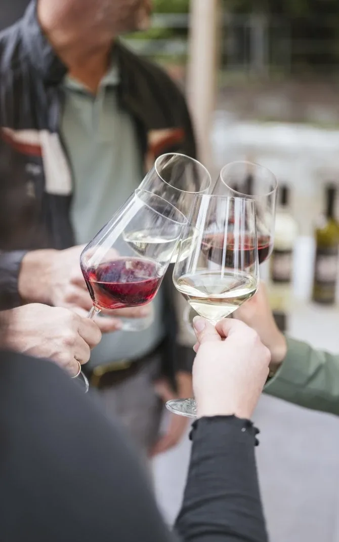 Hands holding and clinking red and white wine glasses during a casual tasting event