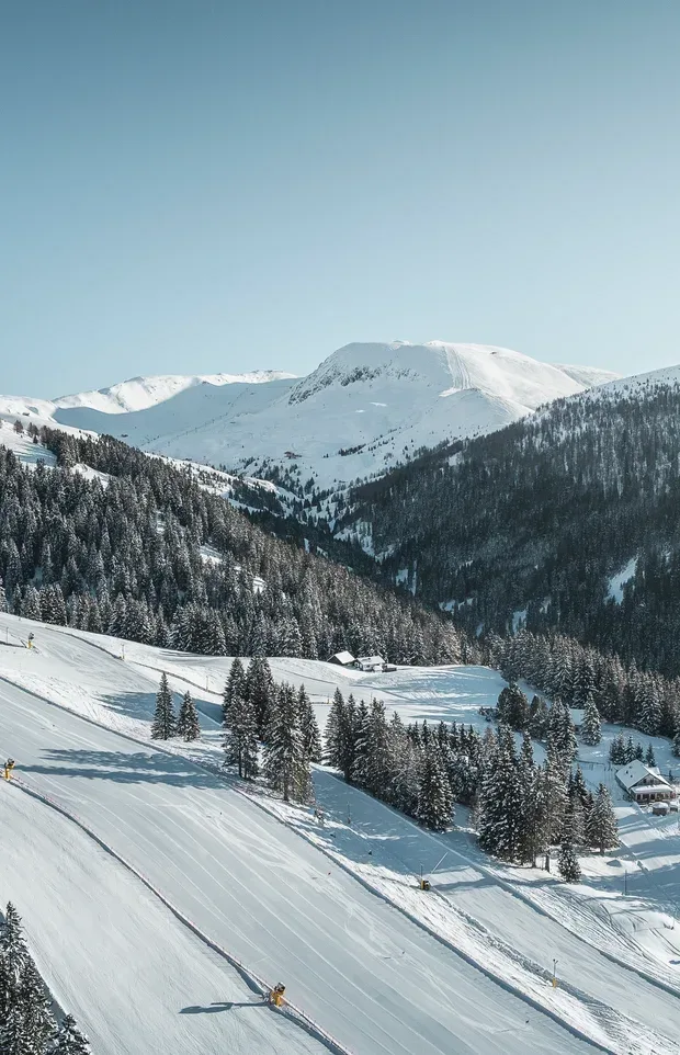Snow-covered ski slopes with trails and scattered evergreen trees in mountainous terrain